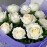 White Roses Bunch