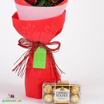 8 Red Roses With Ferrero Rocher Combo