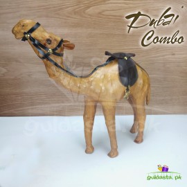 Camel Dubai Combo
