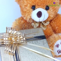 TEDDY BEAR AND CHOCOLATE FOR YOUR LOVE