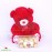 Cute Teddy Yummy Chocolate
