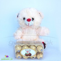 Cute Teddy Yummy Chocolate