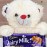 Love with Cute Teddy